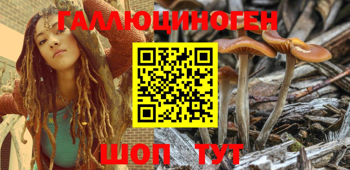 Добрянка  Псилоцибиновые грибы Magic Shrooms  Вход с VPN  Псилоцибиновые грибы прущие грибы 
